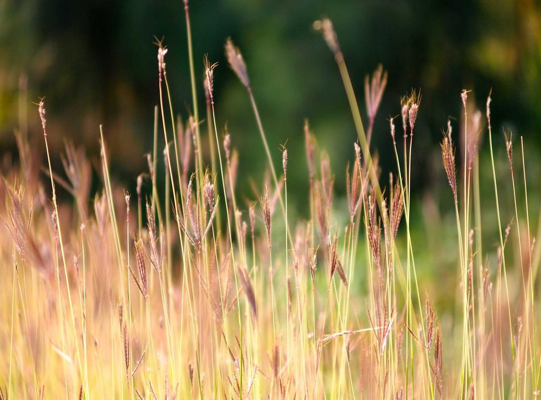 Your Checklist: Is This the Right Fit for Your Operations?