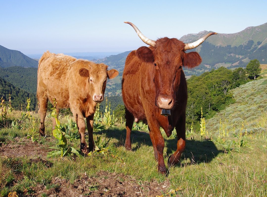 A Clear Picture of Her Transformation Story