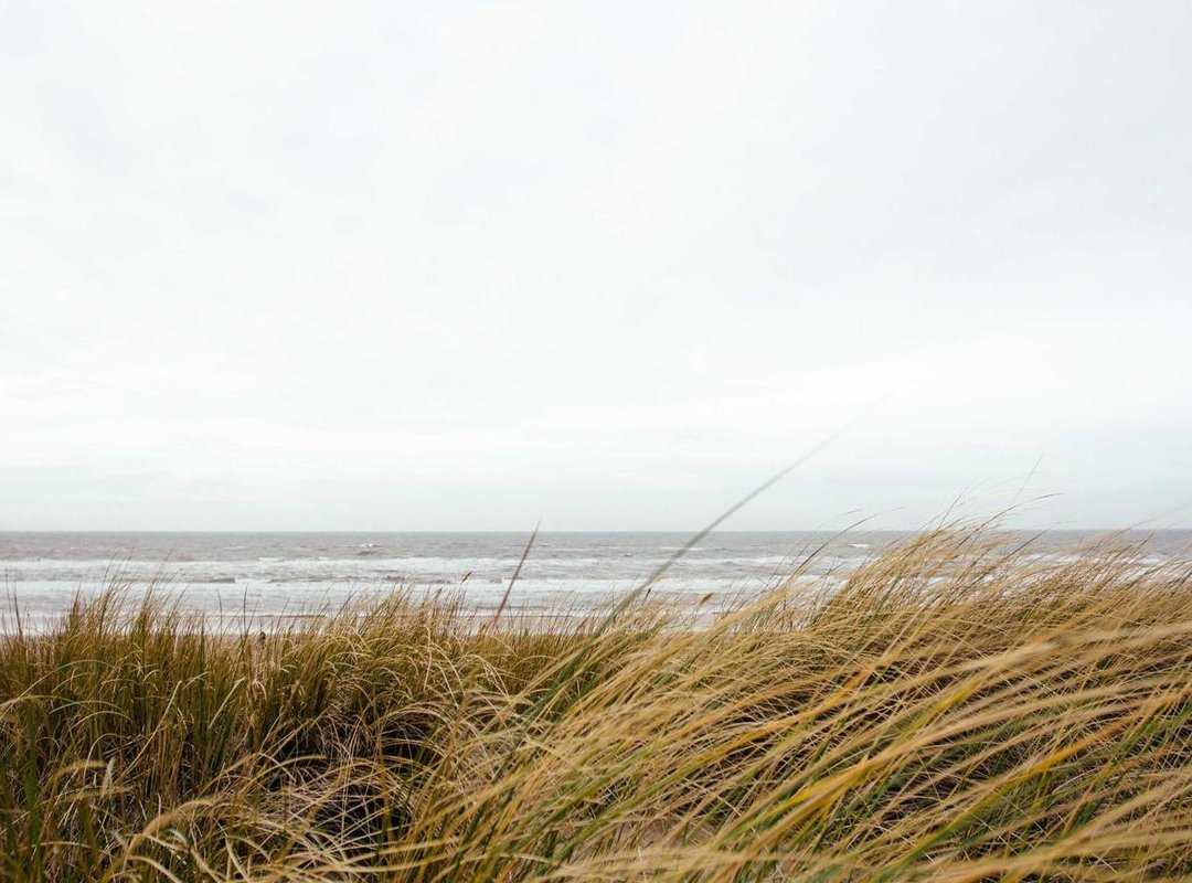 Is Your Samsung TV Compatible with Discovery+?