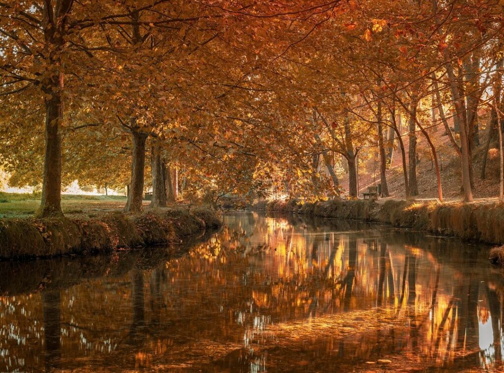 el video de masha y la azafata