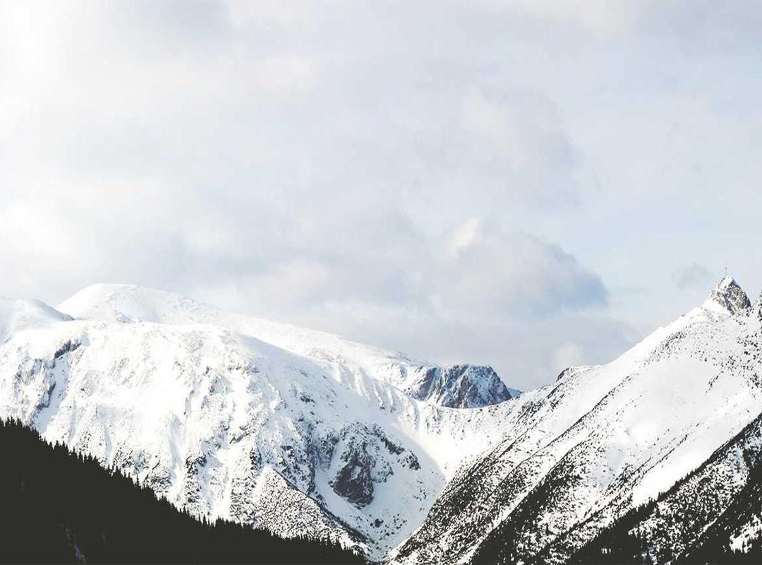 Golden State Warriors Player Statistics: Top Performers and Key Contributions