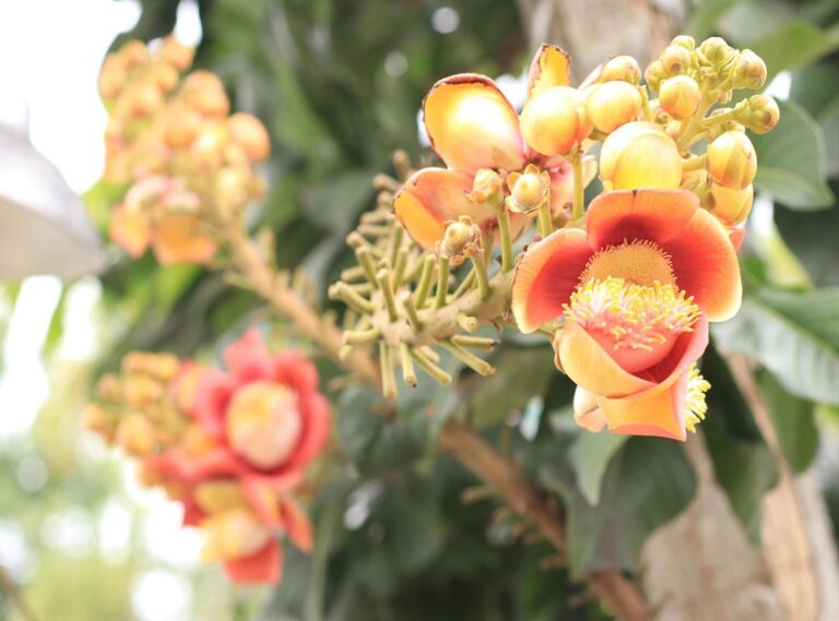 katutubong kasuotan panlalaki sa pilipinas