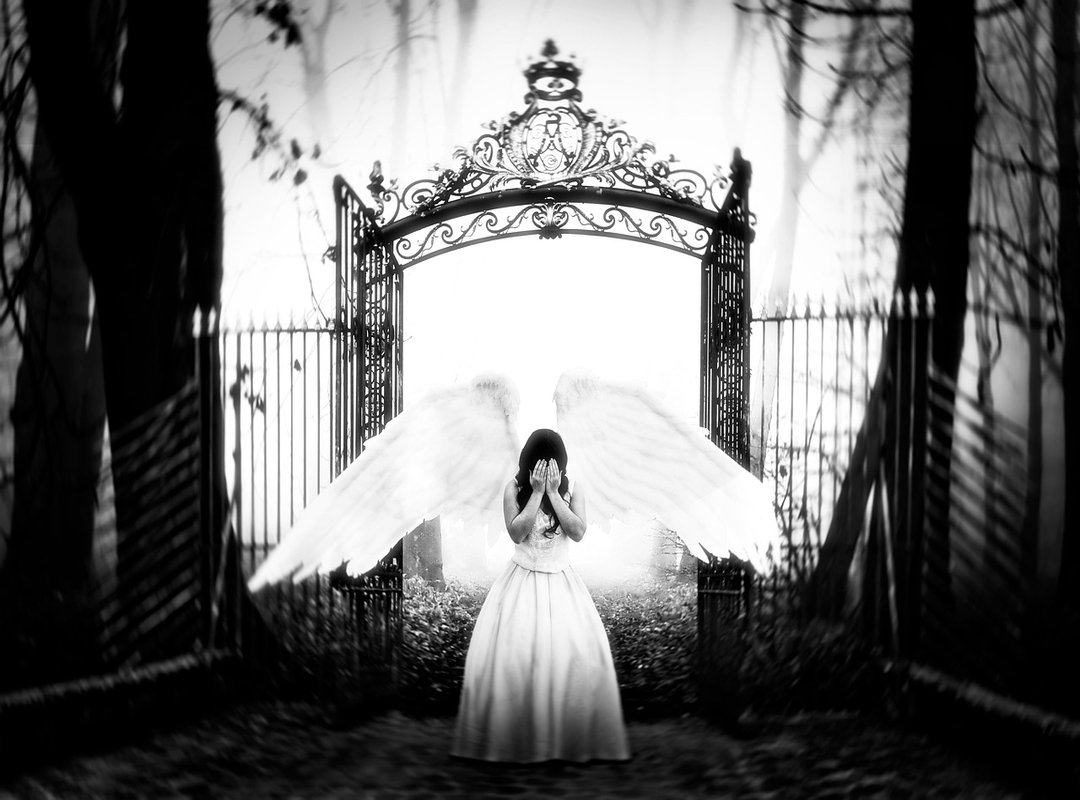 Fact or Fiction? Investigating the Leak's Authenticity