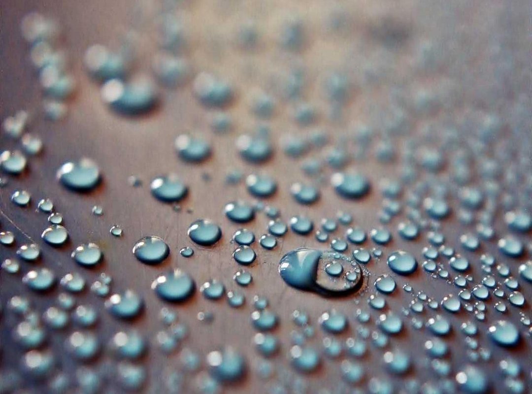 Comparing Lilia Lemoine Bikinis: A Side-by-Side Analysis