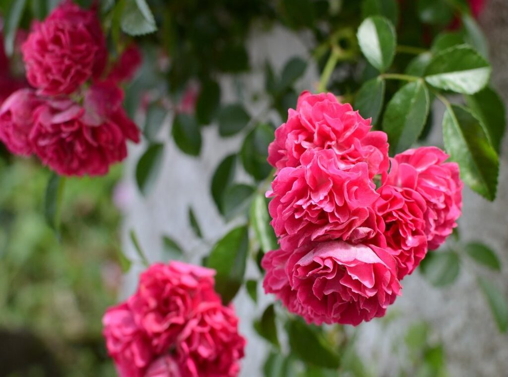 Portugal villages charm