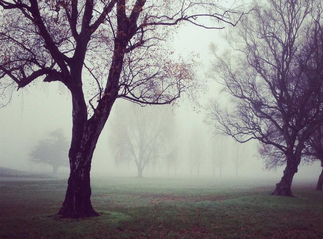 Healing Your New Tattoo: Essential Aftercare for a Tricky Spot